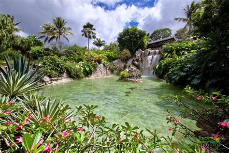 Le Jardin Botanique de Bucaramanga: Un Sanctuaire Verdant et un Oasis pour la Biodiversité!