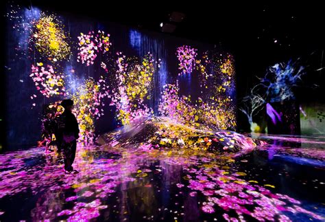  Le Musée de la Forêt d'Yacul: Une expérience immersive et une exploration passionnante de la biodiversité!