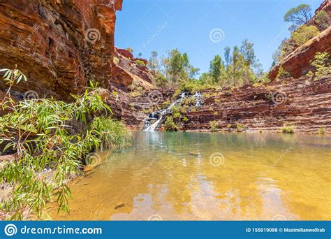 Le Parc National de Yankari: Une Oasis verdoyante et refuge pour la faune sauvage!